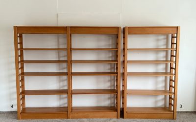 Grüne Erde Humboldt Regale