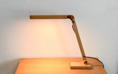 Grüne Erde Sette Schreibtischleuchte